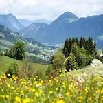 Neustift Near Stubai Lift *