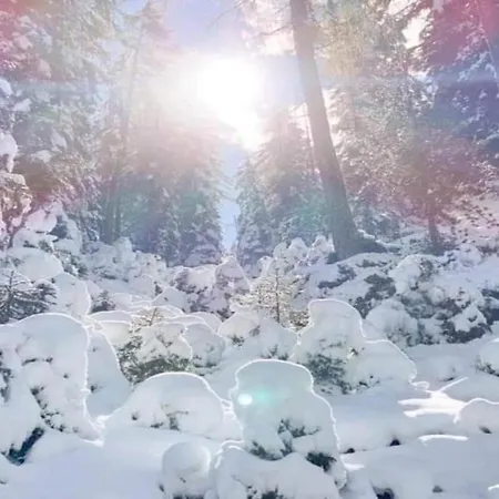 Apartamento Neustift Near Stubai Lift Neustift im Stubaital