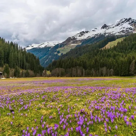 Neustift Near Stubai Lift Apartamento *