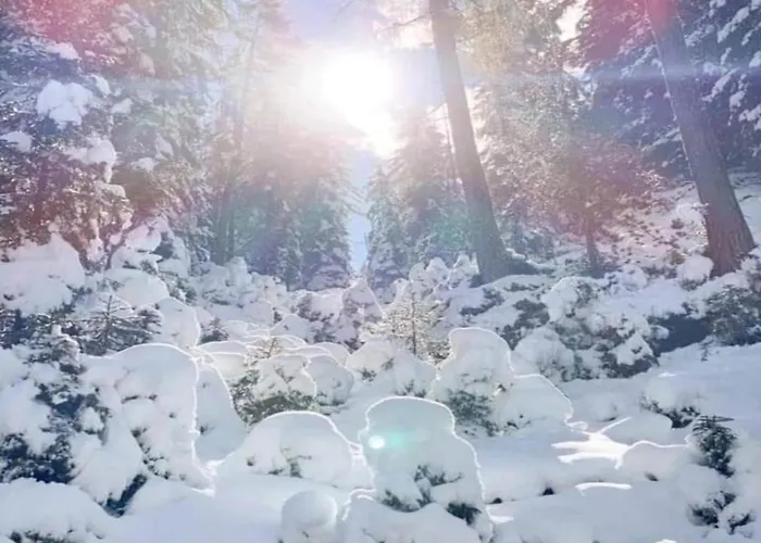 Appartamento Neustift Near Stubai Lift Neustift im Stubaital