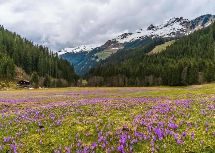 Neustift Near Stubai Lift Appartamento *