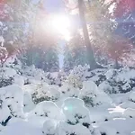 Διαμέρισμα Neustift Near Stubai Lift Neustift im Stubaital